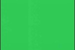 kawasaki green